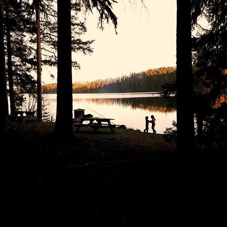 Cozy Stuga - Mountain View Ramsele Εξωτερικό φωτογραφία